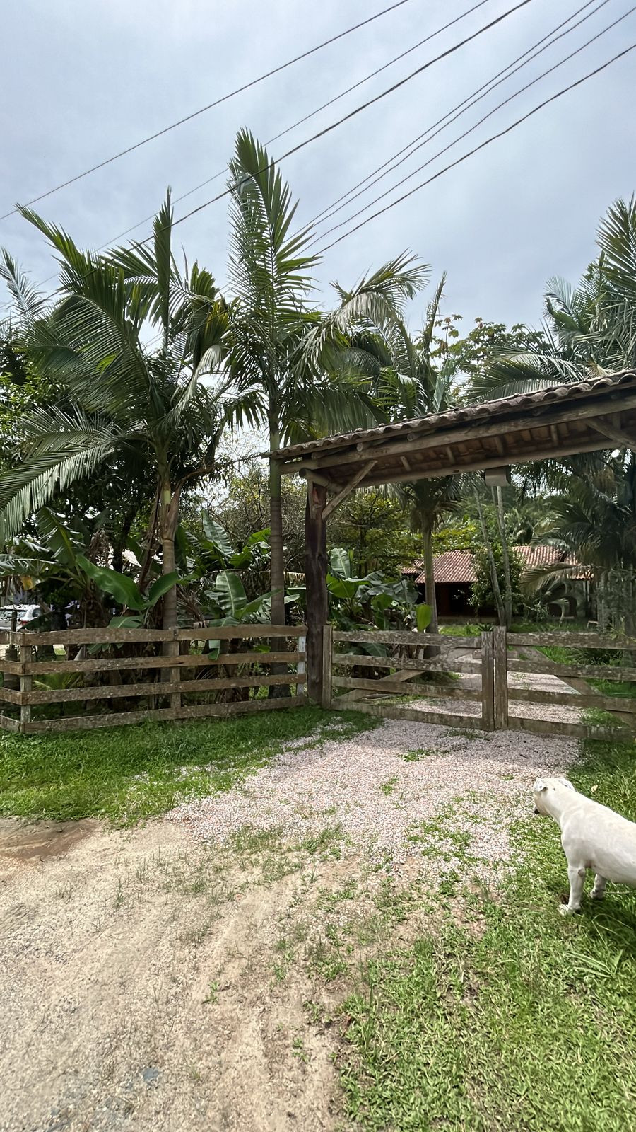 Casa com três dormitórios à venda no Sertão da Santa Luzia em Porto Belo/SC.